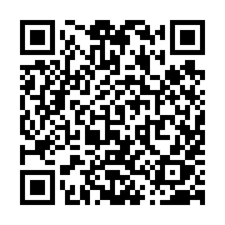 QR code for P4168X