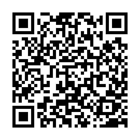 QR code for P4170Z