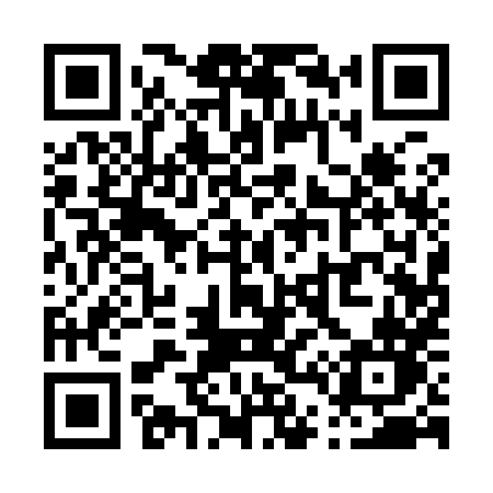 QR code for P4198N