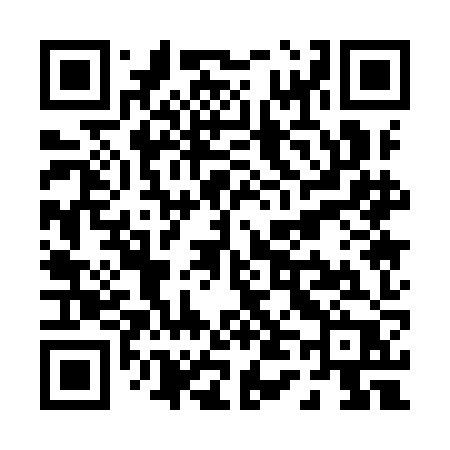 QR code for P419JP