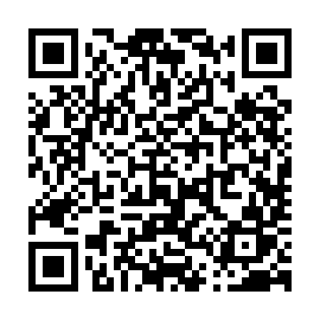 QR code for P421IR