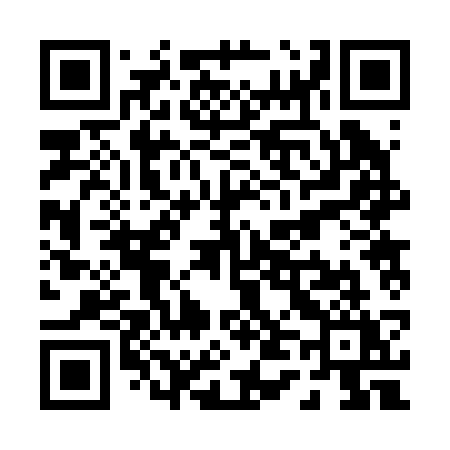 QR code for P4223Y