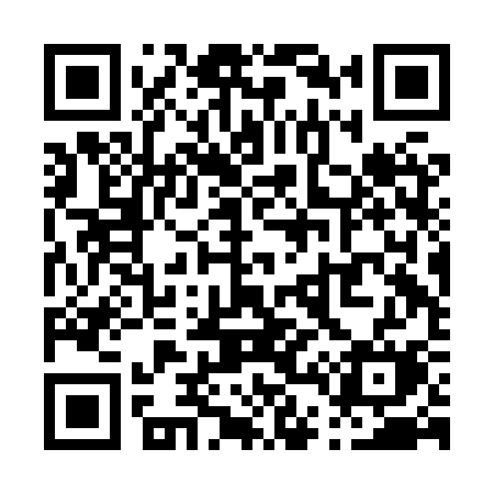 QR code for P42HSM