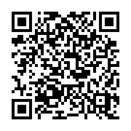QR code for P42SDX