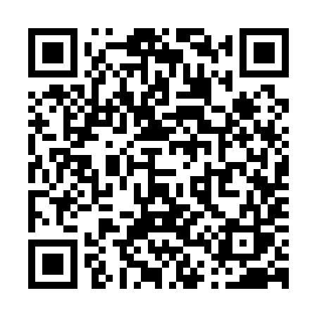QR code for P4319S