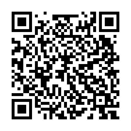 QR code for P4369V