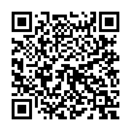 QR code for P438KL