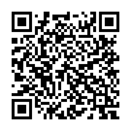 QR code for P438UJ