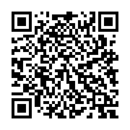 QR code for P441CB