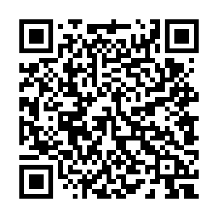 QR code for P446ZB