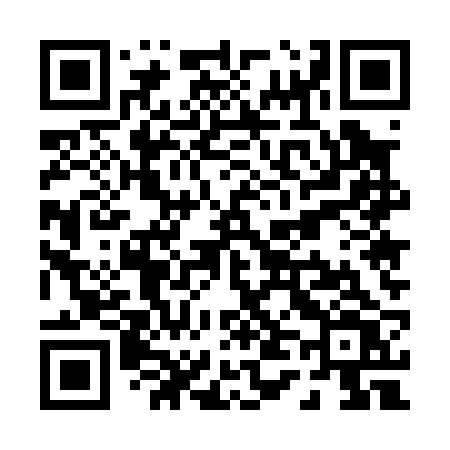 QR code for P4502V