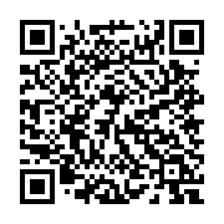 QR code for P450PL