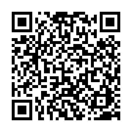 QR code for P450RC