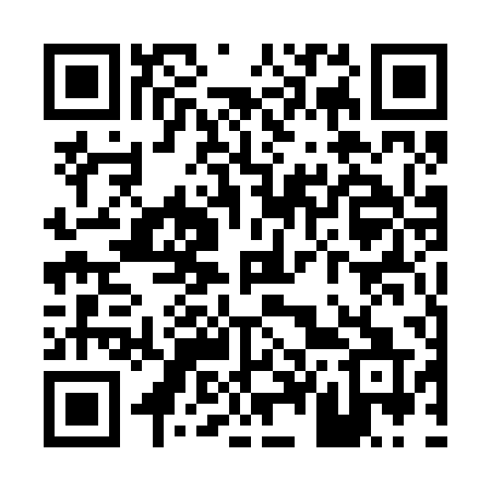 QR code for P4520Q