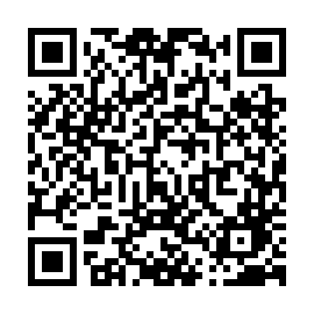 QR code for P453DD