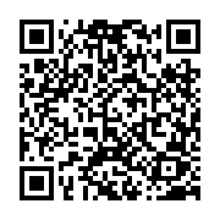 QR code for P453FZ