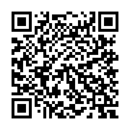 QR code for P458EG