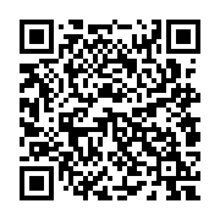 QR code for P461KM