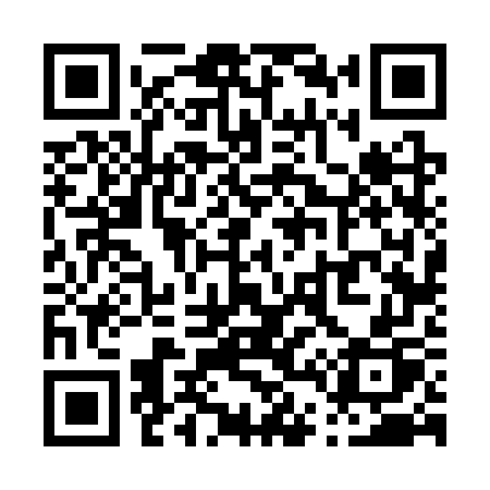 QR code for P463WP