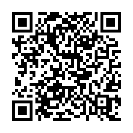 QR code for P46HUB