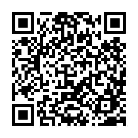 QR code for P484IB