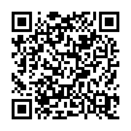 QR code for P4893E