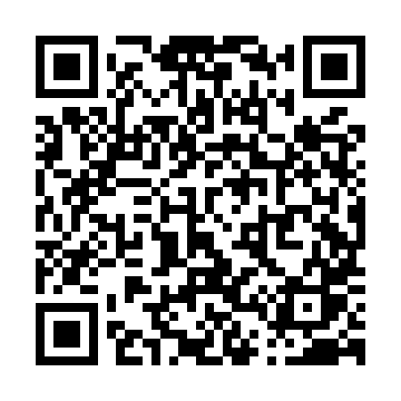 QR code for P48MXS