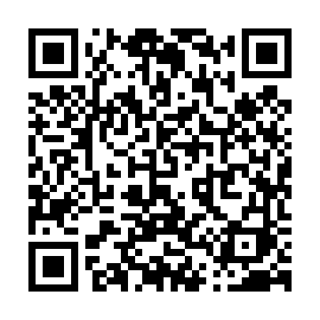 QR code for P4946I