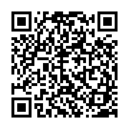 QR code for P49IDI
