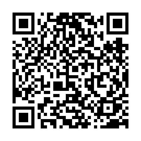QR code for P49VAP