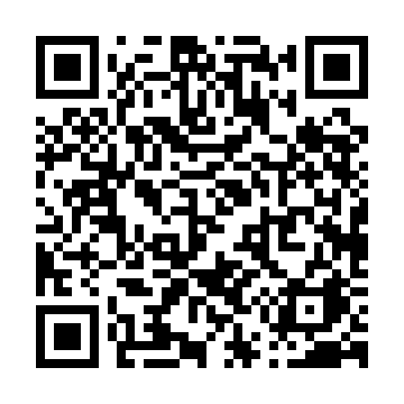 QR code for P501BA