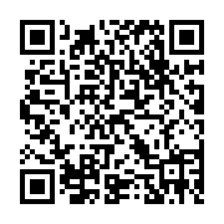 QR code for P509EX