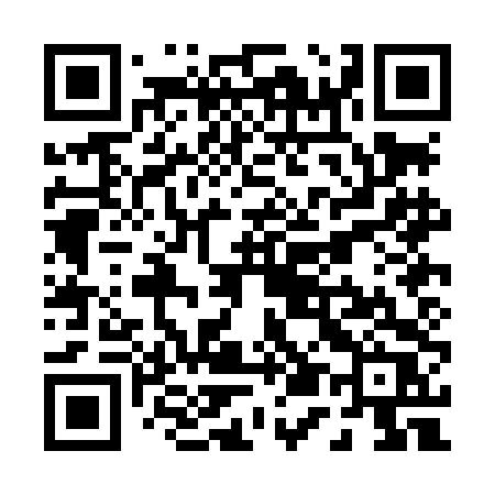 QR code for P50LDR