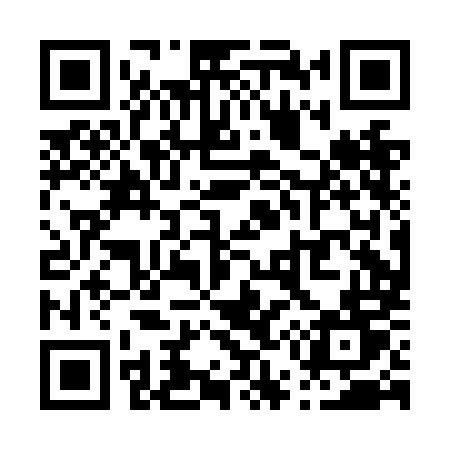 QR code for P50NMT