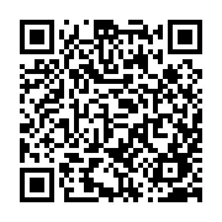 QR code for P5119D