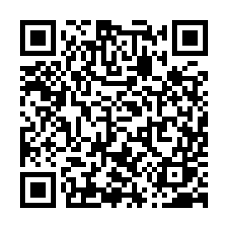 QR code for P519US
