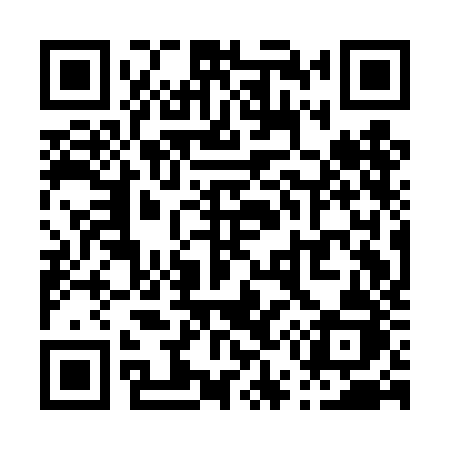 QR code for P51DJJ