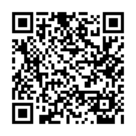 QR code for P5250N