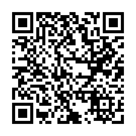 QR code for P529GF