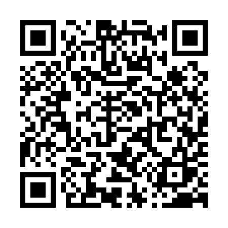 QR code for P5311S
