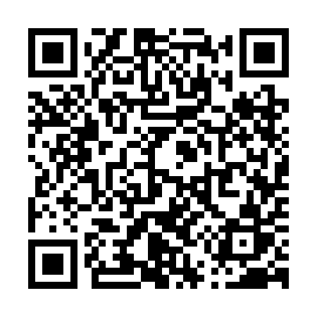 QR code for P533AR
