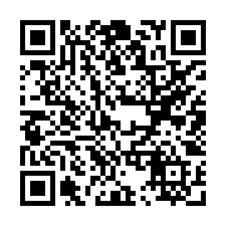 QR code for P538ZD