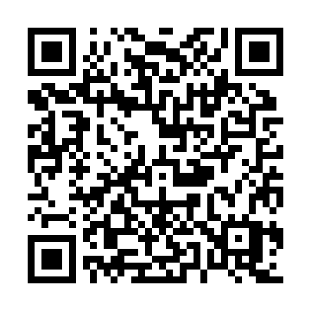 QR code for P53ZZW