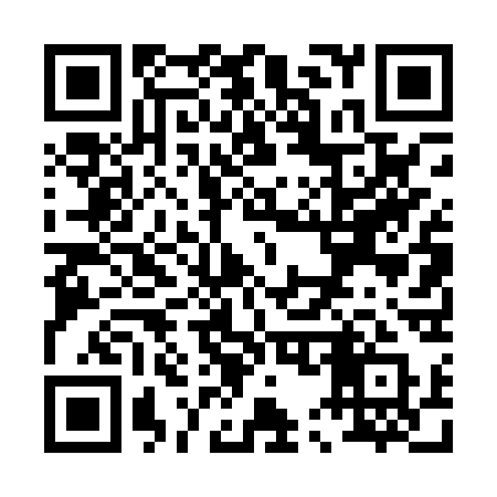 QR code for P540SQ