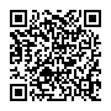 QR code for P5413N