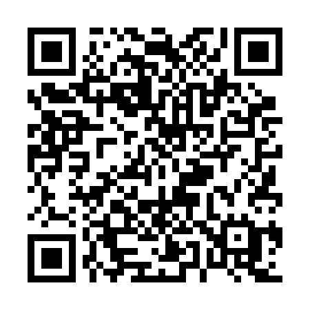 QR code for P542CE