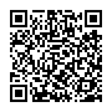 QR code for P546SK