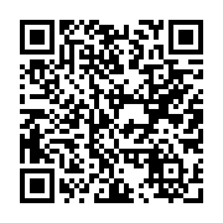 QR code for P546XT