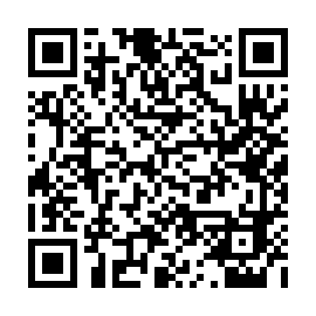 QR code for P550FC