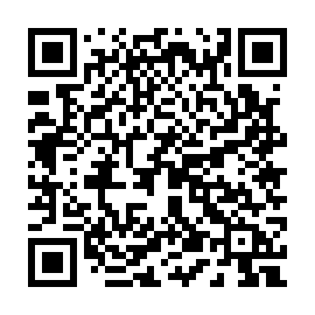 QR code for P5517B